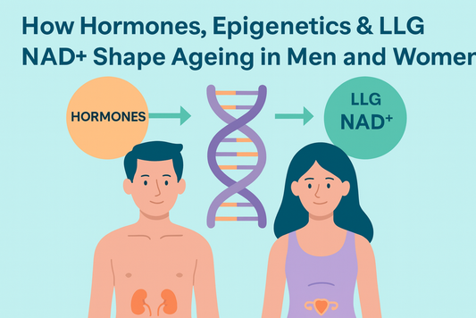 DNA helix links hormones and NAD+ to aging, with male and female figures and organ labels.