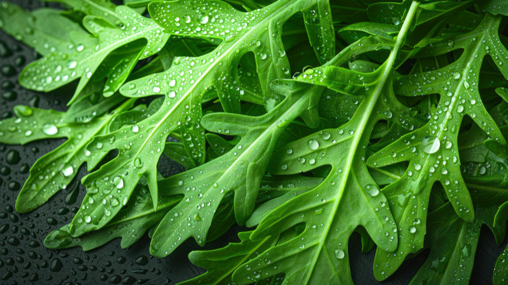 Nutrients for Beauty