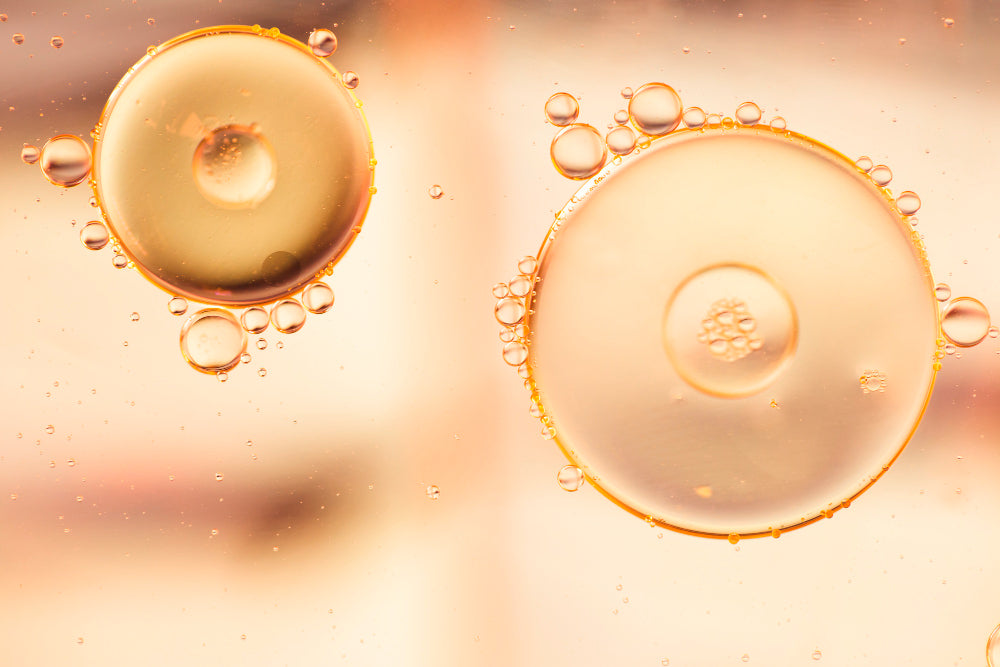 Antioxidant Shield