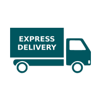 Free Express Delivery Icon