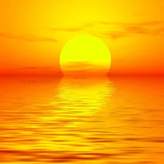 Vitamin D3 (Cholecalciferol)