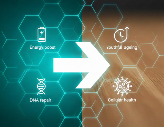 What Happens When You Take NAD+ and NMN Supplements?