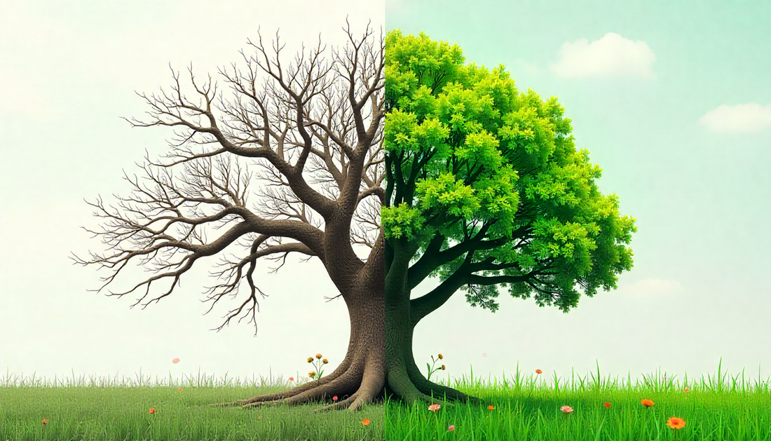 Alt text : A tree split in two: one side barren in winter, the other lush in summer—symbolizing seasonal contrast and environmental change.